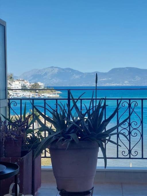 Bright Central Apartment With Splendid Sea View! Chalkida Exterior foto
